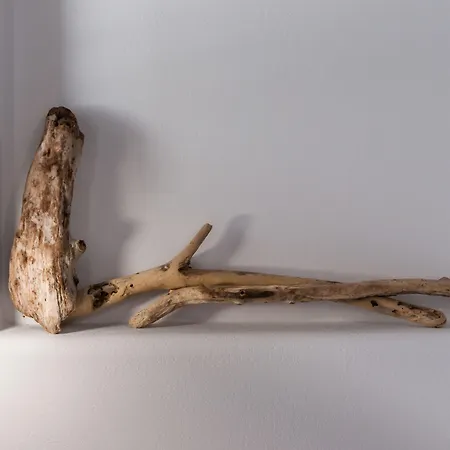 Vilos Alojamento de Acomodação e Pequeno-almoço Pollonia